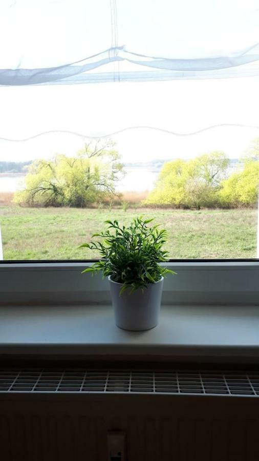 Ferienwohnung Mit Seeblick Бранденбург Экстерьер фото